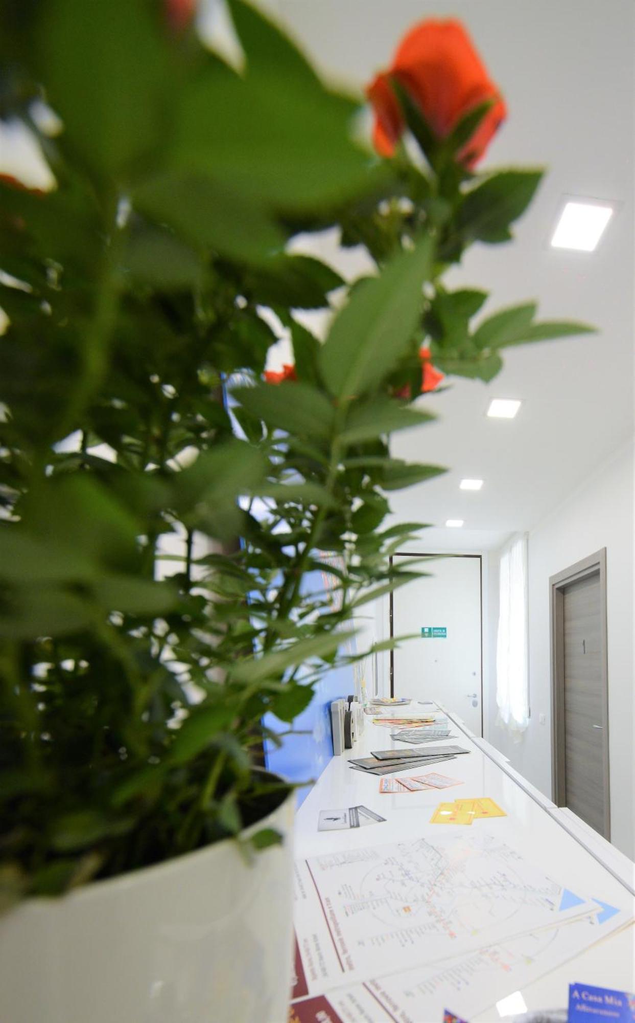 Affittacamere A Casa Mia 罗马 外观 照片